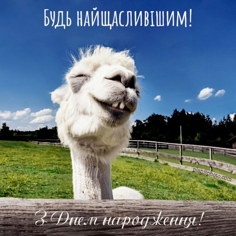 картинка Коротке смішне привітання з Днем народження українською