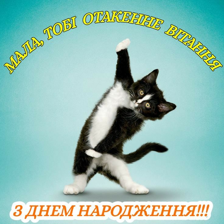 картинка 2 Коротке смішне привітання з Днем народження українською