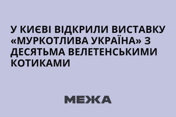 На Співочому полі у Києві відкрили квіткову виставку “Муркотлива Україна”, присвячену 35-й річниці Незалежності України