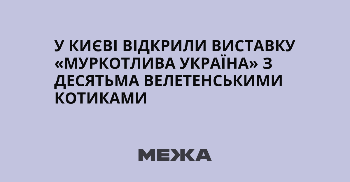 У Києві відкрили виставку «Муркотлива Україна» з десятьма велетенськими котиками